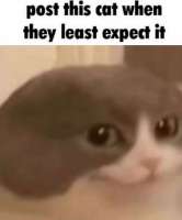 1754565656323.jpg
