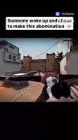 clip-227717739456248366videob63958a9u7atP4rohLUFqBP8XtdkEtGCMP2CajioGl2vcAVszVxN-2bjW9zLJk3auT2imfdmRmvUsKc7v8ta7kGUlxLiigPJHIEx7zTZsia8.mp4