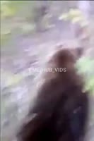 175292300168911600.mp4