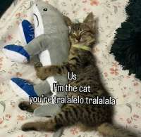 IMG20250816164159465.jpg