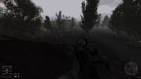 gamma19.png