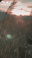 17526932557740.mp4