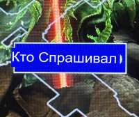 1656522231333.jpg