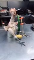 17519870466290.mp4