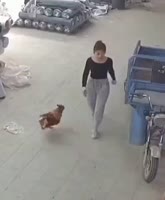 17529813926820.mp4