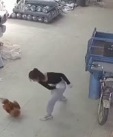 17529813926820.mp4