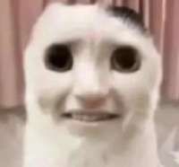 1736191732029294.jpg