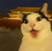 IMG20250503154038194.jpg