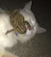 IMG20250621072618175.jpg