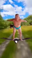 16652411771341.mp4