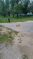 17515701911380.mp4
