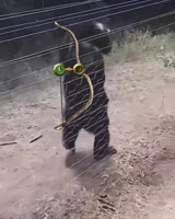 17110706636710.webm