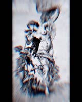 17531147192302.webm