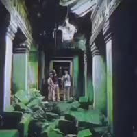 17531169024793.mp4