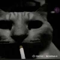 кот-курит-кот.gif