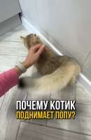 Безымянный.png