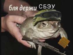 изображение.png