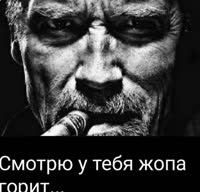 alertorig (1).webm