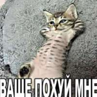 ввще нах.jpeg