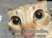 d0c14900-7a46-4f0b-bf7e-203b27bf022b.jpeg