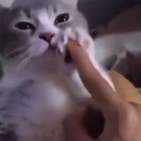 videoframe7473.png