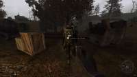 gamma55.png