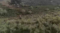 S.T.A.L.K.E.R.2025.07.28-07.49.webm
