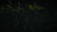 Last-Epoch-Season-3-Beneath-Ancient-Skies-August-21st-Offici.mp4