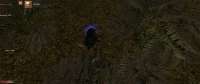 Gothic220250726223209416.jpg