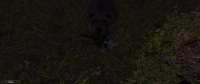 Gothic220250726224814005.jpg