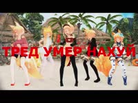 16758795295593.webm