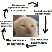 1665461124429.jpg