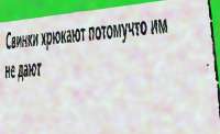 DY9gv.jpg