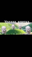 video2024-11-2821-27-26.mp4