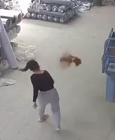175378221787694837.mp4
