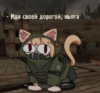 4785667459869546.PNG