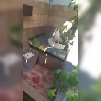 1744052801649.mp4