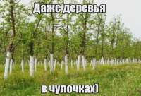 17544726752343.webp