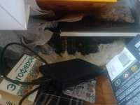 IMG20250808164525.jpg