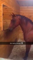 bro mad at himself.mp4