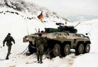 luchs2.jpeg