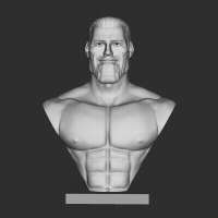 Gigachad-bust-white.gif