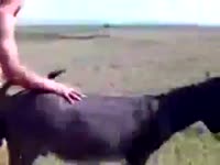 175403750641385619.mp4