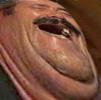 1677035518881.jpg