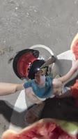 17529260057860.webm