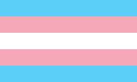 TransgenderPrideflag.svg.png
