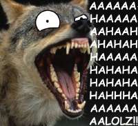 ahahaha.png