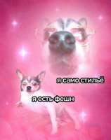 17551071867292.jpg