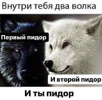 17388735597020.jpg