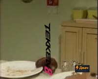 база треда.webm